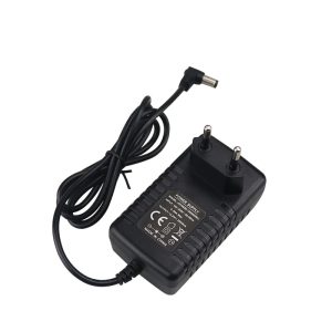 12V 2A Wall Mount AC/DC Power Adapter 24w